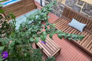 Chez Zany Boutique Hostel &ndash; Copacabana