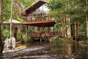 Cirandeira Amazon World EcoResort