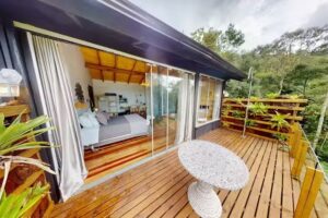 Cisne Negro Villarejo