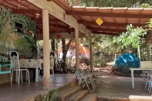 Cobra de Cabelo – Camping