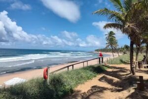 Condom&iacute;nio Praia do Forte