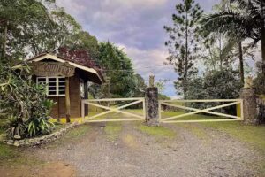 Conex&atilde;o & Natureza