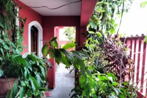 Crazy Host Pousada Compartilhada