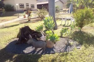 Crixas Hotel Fazenda