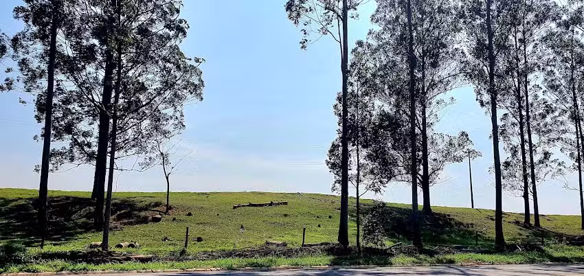 cruzeiro do oeste pr