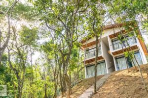 DA MATA Chal&eacute;s