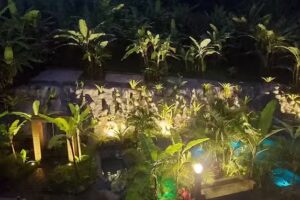 DomRicardo Hospedaria