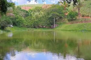 Eco Camping Jussaral