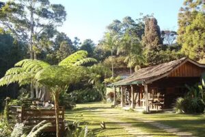 Eco Lodge Itoror&oacute;