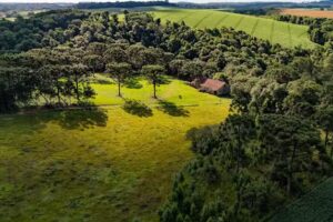 Eco Parque Pinho de Baixo