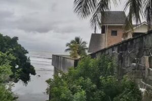 &Eacute;den the Garden