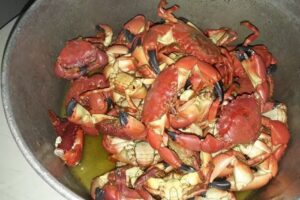 Elaine da Costa Nogueira &ndash; Pousada