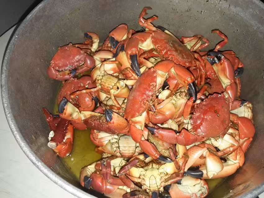 Elaine da Costa Nogueira &ndash; Pousada