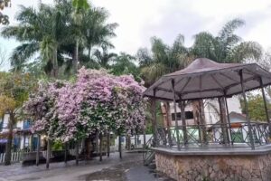 Encanto da Serra Suites.Lumiar