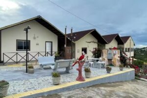 Encanto dos P&aacute;ssaros