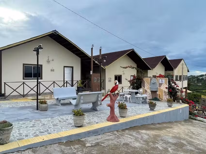 Encanto dos P&aacute;ssaros