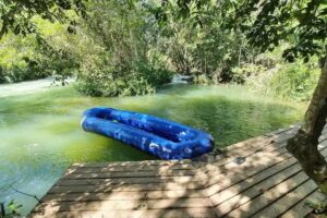 Estancia Ara&ccedil;a