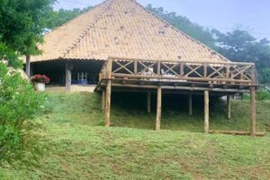 Est&acirc;ncia Cardume