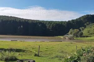 Fazenda Ara&ccedil;&aacute; Pousada