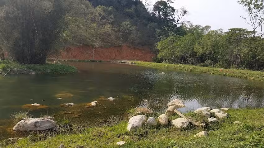 Fazenda Fa&iacute;sca