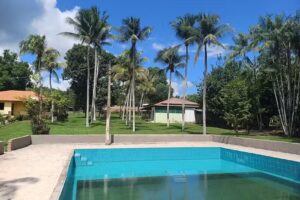 Fazenda O&aacute;sis do Par&aacute;