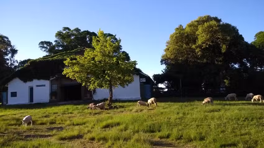Fazenda Palomas Turismo Agropecu&aacute;rio Rural