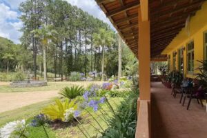 Fazenda Para&iacute;so