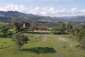 Fazenda Santa Amália