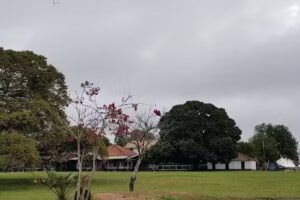 Fazenda Santa Cruz