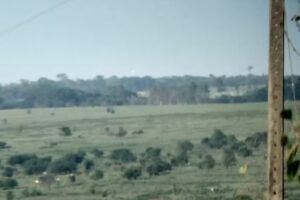 Fazenda Sao Sebastiao