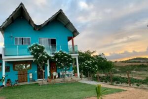 Fazenda Terra Bonita