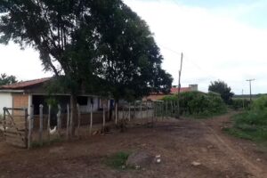 Gado Apartado (interior s&atilde;o Jos&eacute; do divino)