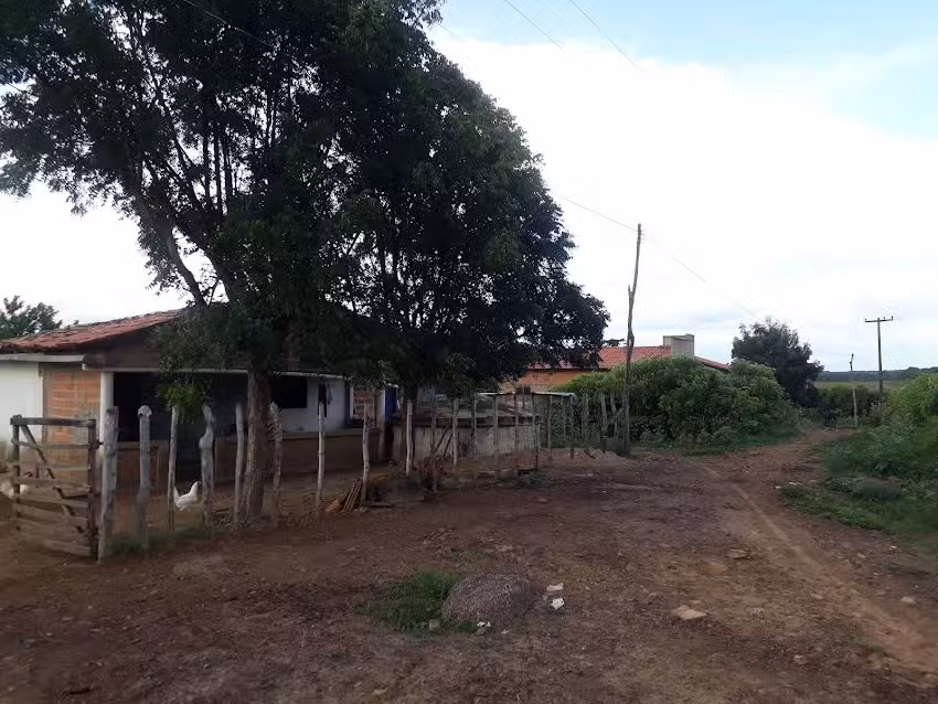 Gado Apartado (interior s&atilde;o Jos&eacute; do divino)