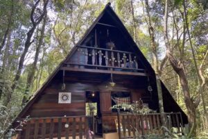 Hospedagem Floresta Amada