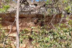 Hospedaria Córrego do Ouro.