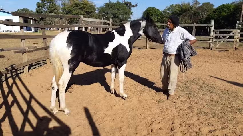 Hospedaria Jo&atilde;o Peixoto Domador- Ramiz Galv&atilde;o
