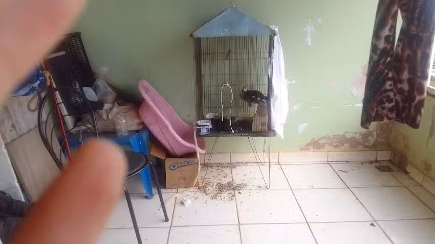 Hostel Divin&oacute;polis