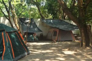 Hostel do Jacar&eacute; | Chal&eacute;, Camping e Motorhome