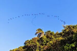 Hostel Porto Vidigal