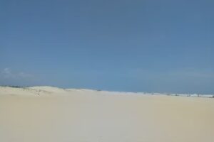 Hostel Samsara Eco Vegano