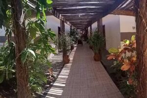 Hotel Aldeias Pedro Afonso