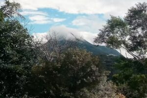 Hotel Bosque do Imbuhy