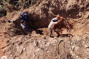 Hotel cui&uacute;-cui&uacute;