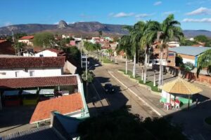 Hotel das Palmeiras Coronel Murta