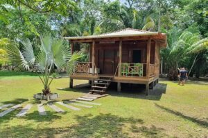 Hotel de Selva Caiau&eacute;