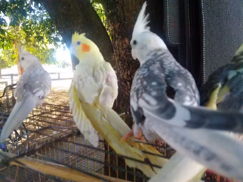 Hotel Dois Irm&atilde;os