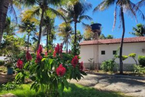 Hotel e Pousada Tropical Correntina BA