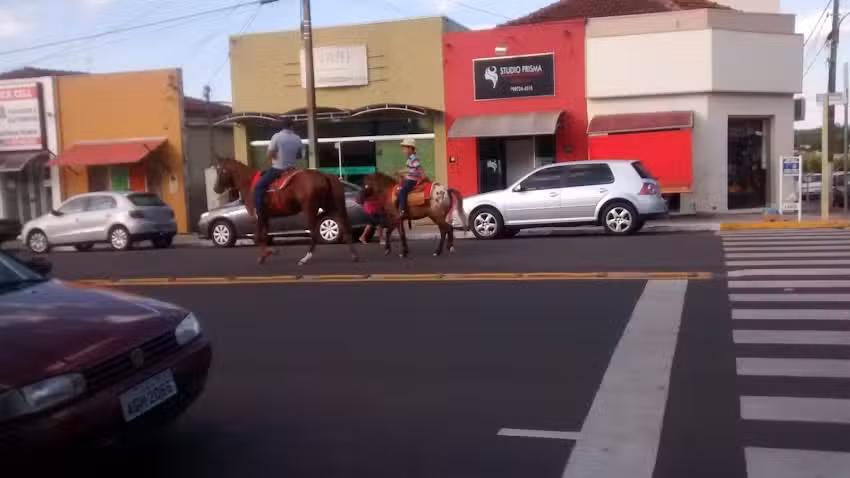 Hotel e Restaurante Para&iacute;so