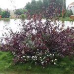 Hotel Esta&ccedil;&atilde;o