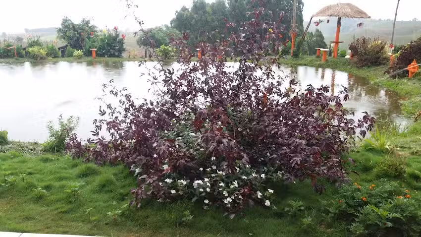 Hotel Esta&ccedil;&atilde;o